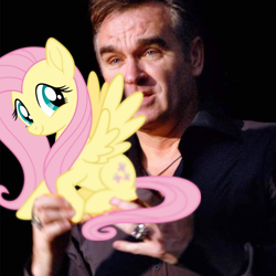 Size: 1938x1936 | Tagged: safe, imported from twibooru, fluttershy, image, morrissey, png, simple background