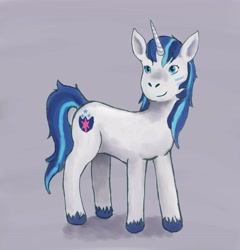 Size: 5896x6154 | Tagged: safe, artist:garden-guardian, imported from derpibooru, shining armor, unicorn, cutie mark, female, gleaming shield, horn, looking at you, mare, rule 63, simple background, solo, unshorn fetlocks