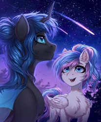 Size: 1697x2048 | Tagged: safe, artist:hakaina, oc, oc only, pony, female, happy, looking at each other, male, mare, night, stallion