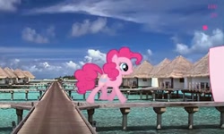 Size: 1250x750 | Tagged: safe, imported from derpibooru, pinkie pie, collect cupcakes lick ponies, door, female, flash game, island, tropical