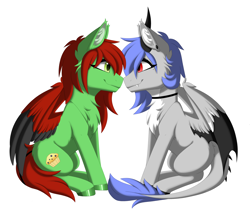 Size: 3600x3038 | Tagged: safe, alternate version, artist:melodytheartpony, imported from derpibooru, oc, oc only, oc:melody silver, oc:raist, dracony, dragon, hybrid, pegasus, pony, choker, commission, duo, ear piercing, facing each other, female, feral, happy, long mane, looking at each other, looking at someone, partner, piercing, shipping, short mane, signature, simple background, sitting, smiling, spread wings, white background, wings, ych result, your character here