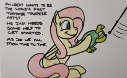 Size: 2048x1271 | Tagged: safe, artist:hoofclid, imported from derpibooru, fluttershy, pegasus, pony, tortoise, female, mare, marker drawing, smiling, solo, text, traditional art, trapeze