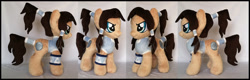 Size: 1582x504 | Tagged: dead source, safe, artist:burzurk, imported from derpibooru, earth pony, pony, 2014, avatar the last airbender, clothes, female, irl, korra, link in description, mare, old art, photo, plushie, ponified, solo, the legend of korra