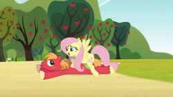 Size: 1920x1080 | Tagged: safe, anonymous artist, edit, edited screencap, imported from derpibooru, screencap, big macintosh, fluttershy, earth pony, pegasus, pony, too many pinkie pies, apple, apple tree, character swap, duo, duo male and female, female, fluttermac, food, looking at each other, looking at someone, lying down, male, mare, open mouth, open smile, outdoors, prone, shipping, smiling, smiling at each other, sploot, stallion, straight, sweet apple acres, tree