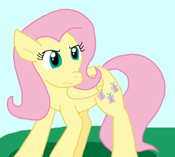 Size: 872x783 | Tagged: safe, artist:cmara, imported from derpibooru, fluttershy, pegasus, pony, female, mare, outdoors, solo