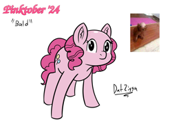 Size: 3644x2731 | Tagged: safe, artist:datzigga, imported from derpibooru, pinkie pie, earth pony, pony, bald, ponified animal photo, reference used, shaved head, simple background, solo, white background