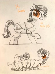 Size: 3024x4032 | Tagged: safe, artist:ja0822ck, imported from derpibooru, oc, oc only, bug pony, insect, pony, female, mare, multiple limbs, pillbug, ponified, traditional art