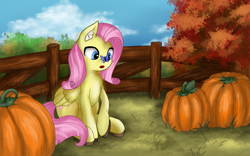 Size: 1729x1080 | Tagged: safe, artist:flower9898, imported from derpibooru, fluttershy, butterfly, pegasus, pony, :o, autumn, blue eyes, bush, butterfly on nose, chest fluff, cute, ear fluff, female, fence, hock fluff, insect on nose, mare, open mouth, outdoors, pumpkin, raised hoof, shyabetes, sitting, solo, tree, wrong eye color