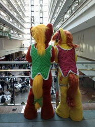 Size: 675x900 | Tagged: safe, artist:atalonthedeer, imported from derpibooru, oc, oc only, oc:canni soda, 2012, building, crowd, duo focus, eurofurence, indoors, irl, photo, rear view