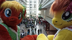 Size: 1200x675 | Tagged: safe, artist:atalonthedeer, imported from derpibooru, oc, oc only, oc:canni soda, 2012, building, crowd, duo focus, eurofurence, indoors, irl, looking at you, looking back, looking back at you, photo