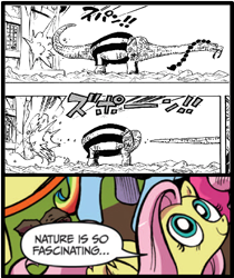 Size: 395x470 | Tagged: safe, edit, imported from derpibooru, fluttershy, brachiosaurus, dinosaur, pegasus, pony, exploitable meme, meme, modular, nature is so fascinating, obligatory pony, one piece, queen (one piece)