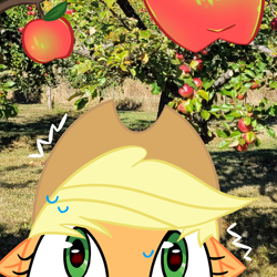 Size: 1000x1000 | Tagged: safe, artist:0liiver, imported from derpibooru, applejack, earth pony, pony, apple, food, irl, photo, solo