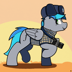 Size: 2048x2048 | Tagged: safe, artist:sefastpone, imported from derpibooru, oc, oc only, pegasus, pony, :p, abstract background, camera, clothes, commission, hat, plaid shirt, raised hoof, raised leg, shirt, side view, solo, tongue out