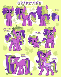 Size: 5000x6300 | Tagged: safe, artist:pilesofmiles, imported from derpibooru, oc, oc only, oc:grapevine (pilesofmiles), crystal pony, earth pony, pony, clothes, cutie mark, dress, foal, gala dress, male, multicolored hair, multicolored mane, ponysona, purple eyes, purple mane, reference sheet, solo, stallion, stallion oc, wet, wet mane