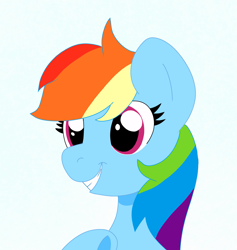 Size: 1821x1919 | Tagged: safe, artist:sparkly-retsuko, imported from derpibooru, rainbow dash, pony, bust, portrait, simple background, solo, white background