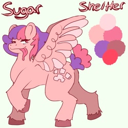 Size: 1200x1200 | Tagged: safe, artist:pinksugarpaws, oc, oc only, pony, female, mare, reference sheet, solo