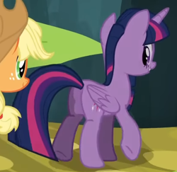 Size: 409x398 | Tagged: safe, imported from derpibooru, screencap, applejack, twilight sparkle, alicorn, pony, cropped, female, looking back, mare, misleading thumbnail, my little pony, solo, solo focus, trade ya!, twilight sparkle (alicorn), twilight sparkle's genital censorship, walking