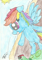 Size: 828x1161 | Tagged: safe, artist:martyart21, imported from derpibooru, rainbow dash, tank, pegasus, pony, solo