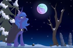 Size: 3760x2500 | Tagged: safe, artist:gaiusmaximiliano, imported from derpibooru, princess luna, alicorn, pony, alternate universe, cloak, clothes, crown, jewelry, mare in the moon, moon, night, regalia, s1 luna, sad, show accurate, snow, solo, stars