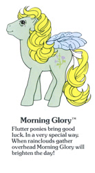 Size: 550x1000 | Tagged: safe, imported from derpibooru, morning glory, flutter pony, pegasus, pony, bow, cute, female, g1, g1 backstory, mare, morningdorable, my little pony fact file, official, smiling, solo, tail, tail bow, text