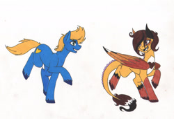 Size: 1953x1341 | Tagged: safe, artist:tazzy-girl, imported from derpibooru, oc, oc only, oc:sun blitz, dracony, dragon, hybrid, pony, female, male, stallion, traditional art