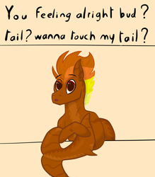 Size: 3500x4000 | Tagged: safe, artist:windy, imported from derpibooru, oc, oc only, oc:windflyer, original species, pony, shark, shark pony, boobs? wanna touch boobs?, eyebrows, eyebrows visible through hair, fish tail, meme, shark tail, solo, tail