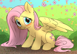 Size: 7016x4961 | Tagged: safe, alternate version, artist:derpydoodesigns, artist:derpydooreviews, imported from derpibooru, fluttershy, pegasus, pony, absurd resolution, blushing, cherry blossoms, cute, female, flower, flower blossom, looking at you, mare, outdoors, partially open wings, shyabetes, sitting, solo, wings