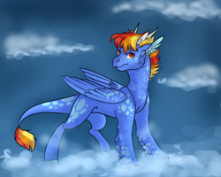 Size: 1024x820 | Tagged: safe, artist:pjj0, imported from derpibooru, oc, oc only, dracony, dragon, hybrid, pony, cloud, female, leonine tail, magical lesbian spawn, next generation, offspring, on a cloud, parent:princess ember, parent:rainbow dash, parents:emberdash, solo, tail