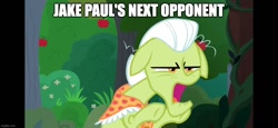 Size: 1082x499 | Tagged: safe, edit, edited screencap, imported from derpibooru, screencap, granny smith, earth pony, pony, the big mac question, fight, jake paul, my little pony, open mouth, ufc