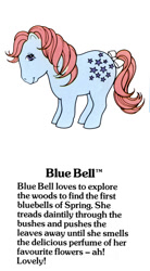 Size: 550x1000 | Tagged: safe, imported from derpibooru, blue belle, earth pony, pony, bluebellebetes, bow, closed mouth, cute, female, g1, g1 backstory, mare, my little pony fact file, official, open mouth, open smile, smiling, solo, tail, tail bow, text