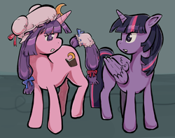 Size: 1998x1571 | Tagged: safe, artist:sacredslime, imported from derpibooru, twilight sparkle, alicorn, pony, unicorn, crossover, duo, duo female, female, horn, mare, patchouli knowledge, ponified, touhou, twichouli, twilight sparkle (alicorn)