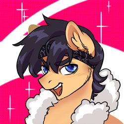 Size: 2400x2400 | Tagged: safe, artist:opalacorn, imported from derpibooru, oc, oc only, pony, abstract background, blush lines, blushing, bust, ear fluff, fur collar, looking at you, male, open mouth, open smile, smiling, smiling at you, solo, sparkles, stallion