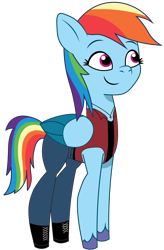 Size: 1156x1760 | Tagged: safe, artist:edy_january, artist:prixy05, edit, editor:edy january, imported from derpibooru, vector edit, rainbow dash, pegasus, pony, clothes, denim, g5, gen alpha, iron cross, iron cross necklace, jeans, jewelry, my little pony: tell your tale, necklace, pants, red vest, shoes, sigma, simple background, solo, tanktop, tomboy, transparent background, vector, vest, vulgar description