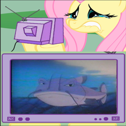 Size: 618x617 | Tagged: safe, imported from derpibooru, fluttershy, catfish, fish, pegasus, exploitable meme, fluttercry, meme, obligatory pony, old tom, the raccoons, tv meme