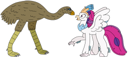 Size: 3025x1350 | Tagged: safe, artist:supahdonarudo, imported from derpibooru, queen novo, bird, classical hippogriff, hippogriff, my little pony: the movie, duo, looking at each other, looking at someone, simple background, surprised, transparent background