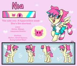 Size: 1711x1472 | Tagged: safe, artist:lou, oc, oc only, oc:nia, pony, clothes, female, mare, reference sheet, socks, striped socks