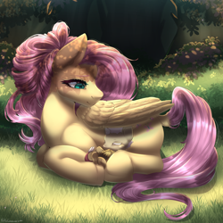 Size: 1700x1700 | Tagged: safe, artist:misscinnabunnie, imported from derpibooru, fluttershy, hybrid, pegasus, pony, female, grass, interspecies offspring, lying down, mare, offspring, older, older fluttershy, parent:discord, parent:fluttershy, parents:discoshy, ponyloaf, prone, sleeping, turned head