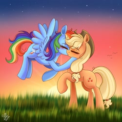 Size: 2048x2048 | Tagged: safe, artist:galaxy swirl, imported from derpibooru, applejack, rainbow dash, earth pony, pegasus, pony, appledash, applejack's hat, blushing, cowboy hat, duo, duo female, eyebrows, eyebrows visible through hair, eyes closed, female, flying, freckles, grass, hat, high res, kiss on the lips, kissing, lesbian, mare, night, night sky, outdoors, raised hoof, shipping, signature, sky, spread wings, stars, tail, wings