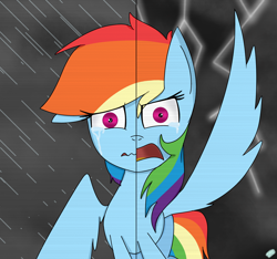 Size: 1600x1500 | Tagged: safe, artist:rai2n, imported from derpibooru, rainbow dash, pegasus, pony, crying, duality, female, frown, lightning, mare, rain, solo, spread wings, wings