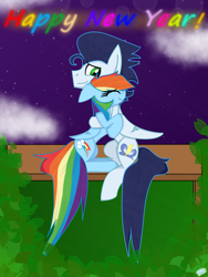 Size: 1200x1600 | Tagged: safe, artist:rai2n, imported from derpibooru, rainbow dash, soarin', pegasus, pony, bench, bush, cloud, eyes closed, female, grass, happy new year, holiday, hug, male, mare, night, shipping, sky, smiling, soarindash, stallion, straight