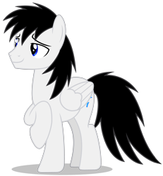 Size: 5484x5934 | Tagged: safe, artist:creedyboy124, imported from derpibooru, oc, oc only, oc:shane park, pegasus, pony, handsome, male, pegasus oc, simple background, stallion, stallion oc, wings