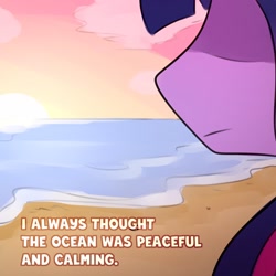 Size: 1080x1080 | Tagged: safe, artist:makaryo, imported from derpibooru, part of a set, twilight sparkle, alicorn, pony, beach, close-up, female, g5, mare, narration, ocean, older, older twilight, older twilight sparkle (alicorn), solo, sunset, text, twilight sparkle (alicorn), water