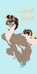 Size: 1026x2048 | Tagged: safe, artist:whimday, imported from derpibooru, oc, oc only, oc:lunar phase, pegasus, pony, anatomically incorrect, chest fluff, fetlock tuft, incorrect leg anatomy, solo