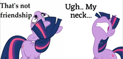 Size: 3464x1656 | Tagged: safe, artist:vesteffi, imported from derpibooru, twilight sparkle, pony, unicorn, derpibooru, anti-humor, female, friendship, funny, horn, mare, meme, meta, neck, reality ensues, tags