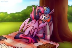 Size: 3000x2000 | Tagged: safe, artist:lrusu, imported from derpibooru, twilight sparkle, oc, oc:portal bump, alicorn, pegasus, book, canon x oc, commission, duo, duo female, female, kiss on the lips, kissing, lesbian, outdoors, pegasus oc, picnic, picnic blanket, portalsparkle, tree, twilight sparkle (alicorn), wings