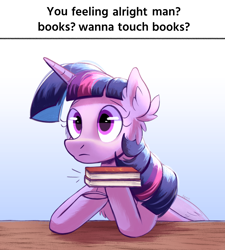 Size: 2250x2500 | Tagged: safe, artist:candy meow, imported from derpibooru, twilight sparkle, alicorn, pony, boobs? wanna touch boobs?, book, bookhorse, caption, cheek fluff, chest fluff, concerned, ear fluff, female, frog (hoof), gradient background, image macro, mare, meme, offering, ponified, ponified meme, solo, table, text, that pony sure does love books, underhoof