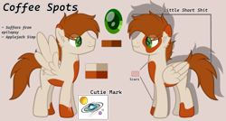 Size: 5600x3000 | Tagged: safe, artist:ponkus, imported from derpibooru, oc, oc:coffee spots, pegasus, pony, male, reference sheet, solo, stallion, swearing, vulgar