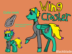 Size: 4096x3072 | Tagged: safe, artist:blackblade360, imported from derpibooru, oc, oc only, oc:wing crasher, pegasus, pony, fallout equestria, 2024, ashes town, bio, blue eyes, clothes, cutie mark, digital art, eyepatch, green coat, ibispaint x, male, orange background, pegasus oc, pixel art, pony oc, raised hoof, raised leg, reference, reference sheet, signature, simple background, stallion, stallion oc, tail, title card, two toned mane, two toned tail, wings