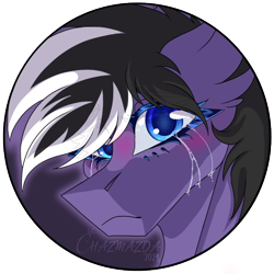 Size: 600x600 | Tagged: safe, artist:chazmazda, imported from derpibooru, oc, oc only, oc:stormblaze, pegasus, pony, blushing, cel shading, coloured hair, commission, commission open, crying, hair highlights, highlights, icon, icon commission, lineart, sad, shading, short hair, simple background, unhappy