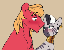 Size: 2500x1981 | Tagged: safe, artist:chub-wub, imported from derpibooru, big macintosh, zecora, earth pony, pony, zebra, bedroom eyes, blushing, chest fluff, duo, duo male and female, ear piercing, earring, eyebrows, eyebrows visible through hair, female, freckles, jewelry, looking at each other, looking at someone, macora, male, mare, neck rings, piercing, quadrupedal, shipping, simple background, stallion, straight